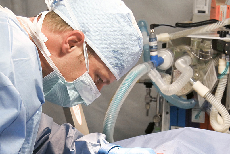 What is the difference between medical mask, nursing mask, surgical mask and non-surgical mask?