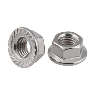 Hex Flange Nut