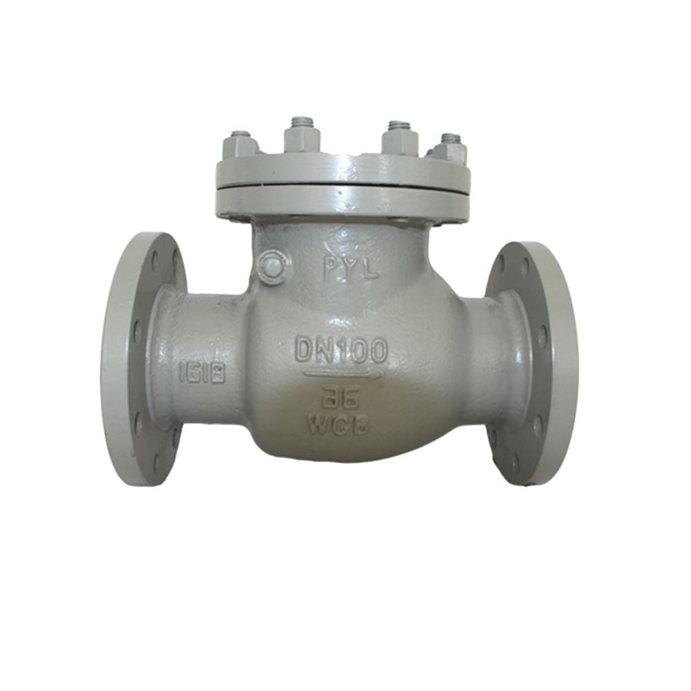 High pressure check valve female thread check valve horizontal DN50-DN200 water check valve